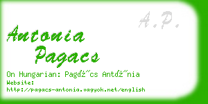 antonia pagacs business card